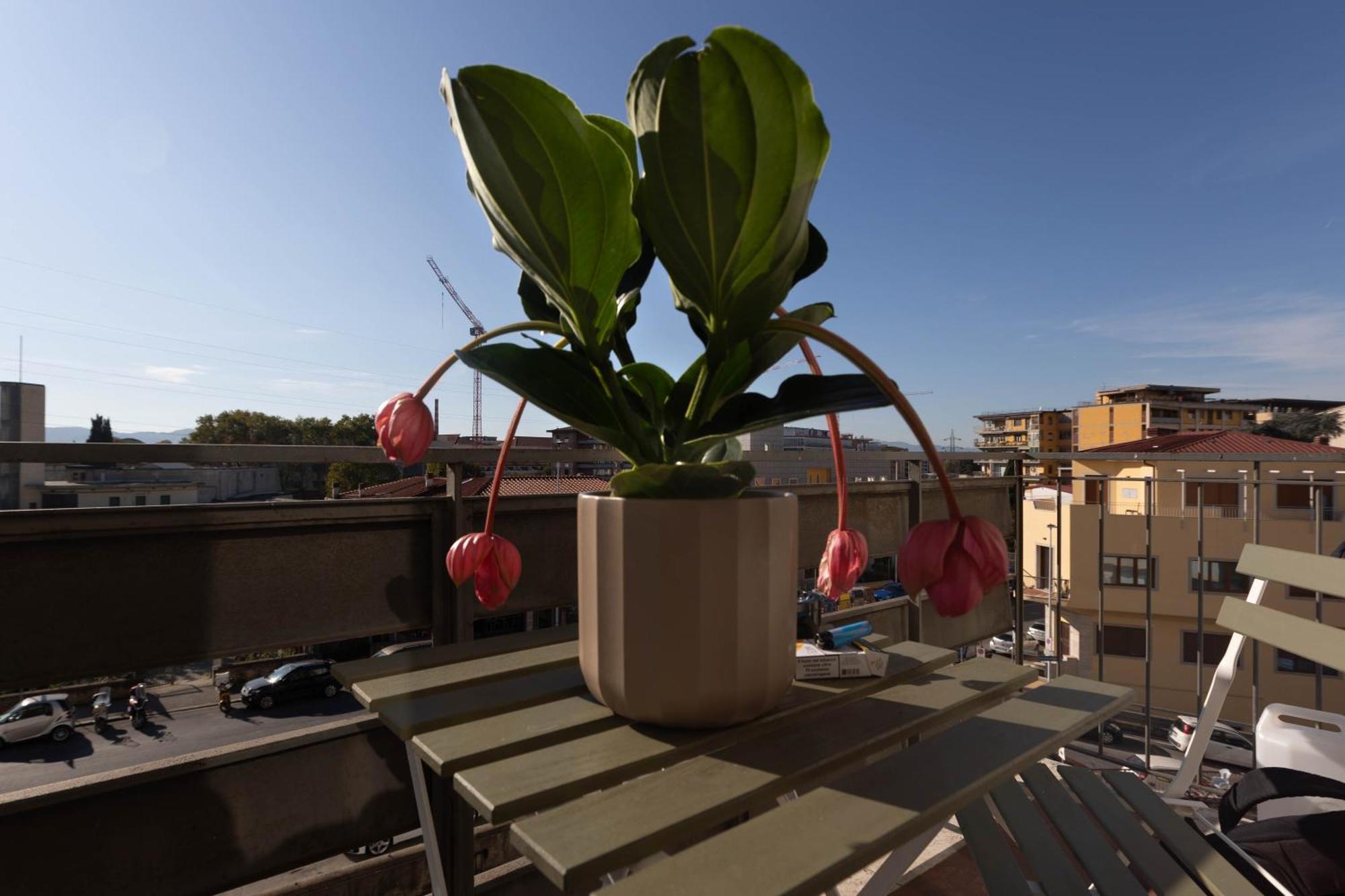 Florence Oasis Exterior photo